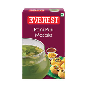 Everest Pani Puri Masala 10x100g